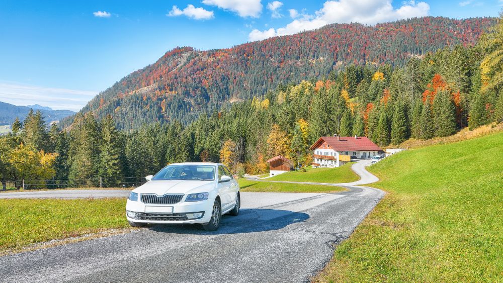 Car Driving Mountain Road Forest Scenic - Bhutan Rental and Travel Blog